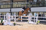 BPP_6936
