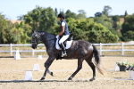 SBM_012565