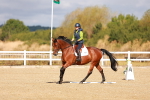 SBM_009435