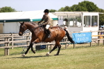 SBM_17741
