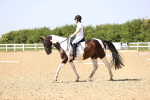 SBM_010121