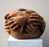 Wald 6 Hands