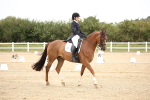 SBM_020210