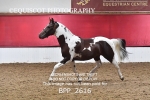 BPP_2616