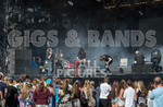 CATFISH AND THE BOTTLEMEN portfolio