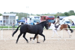 SBM_15349
