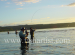 Taupo Fisherman - Got one!