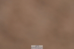 240121A-093202-00230