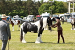 SBM_04232