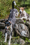 Grasmere Sports-156