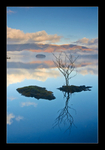 Misty Calm