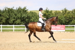 SBM_001979