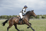 BVHT 140517  NXC -316