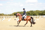 SBM_008880