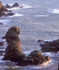 Muchalls Bay, Sea Stack
