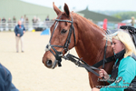 Mollington Races 05/05/25 portfolio