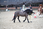SBM_007288