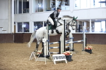 SBM_000420_Class 2 - Senior British Novice - 90cm Open