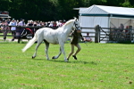 SBM_03896