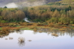 South Branch