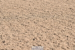 240509A-094214-00639