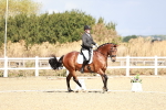 SBM_004171