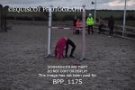 BPP_1175
