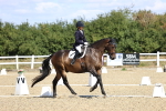SBM_013900