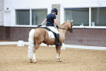 SBM_002931