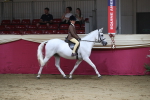 SBM_02036