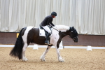 SBM_004559