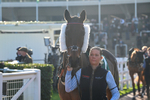 151124-Race 1-Paddock-Whatsupwithyou-7053