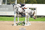208-Barnie.Brotherton-WHIXLEY.QUALITAS portfolio