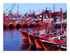 Bateaux de pêche