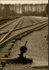 Birkenau  railway lines 2 sepia