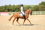 SBM_010178