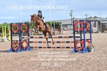 BPP_3617