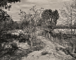 Landscapes portfolio