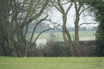 PtP 100324 172