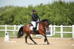 SBM_008966