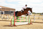 SBM_007307