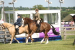 SBM_09211