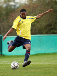 0776_AMT_8221