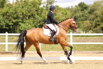 SBM_002978
