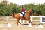 SBM_007661