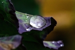 DSC00706