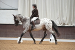 SBM_001905