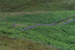 Wasdale-278