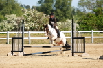 SBM_007257