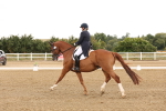SBM_005919